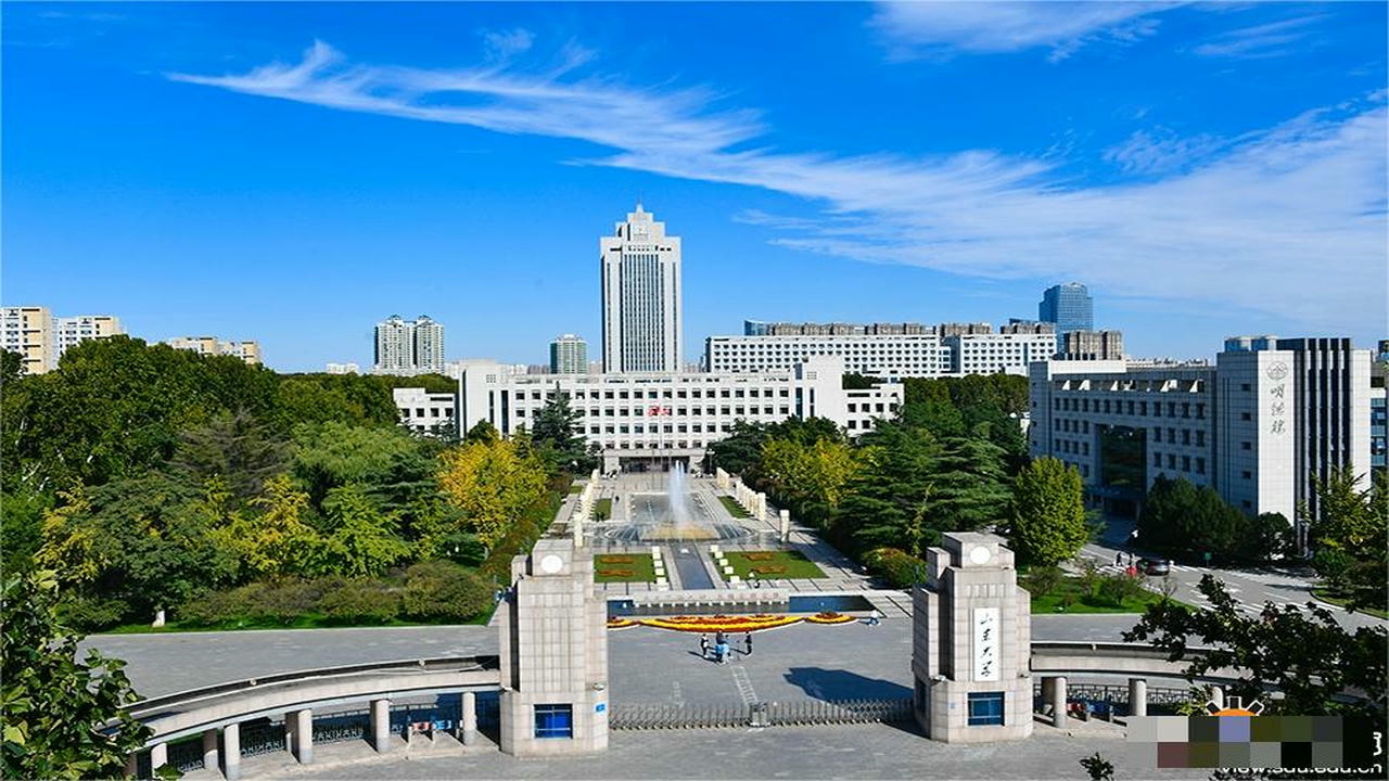Shandong University